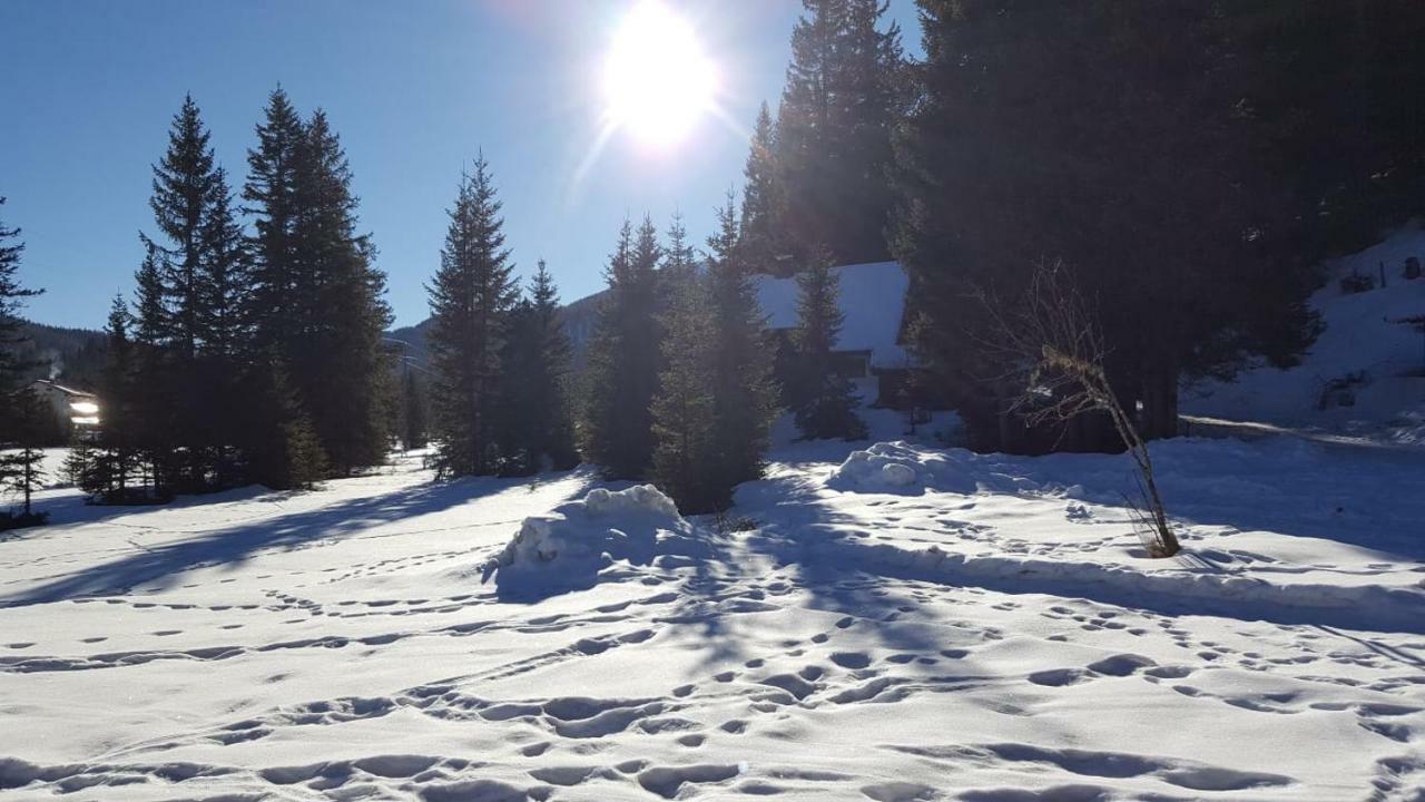 FlattnitzAuszeithuette别墅 外观 照片
